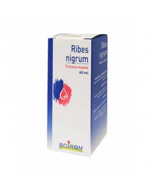 Ribes Nigrum Tintura Madre 60 ml - Antinfiammatorio e Antistaminico