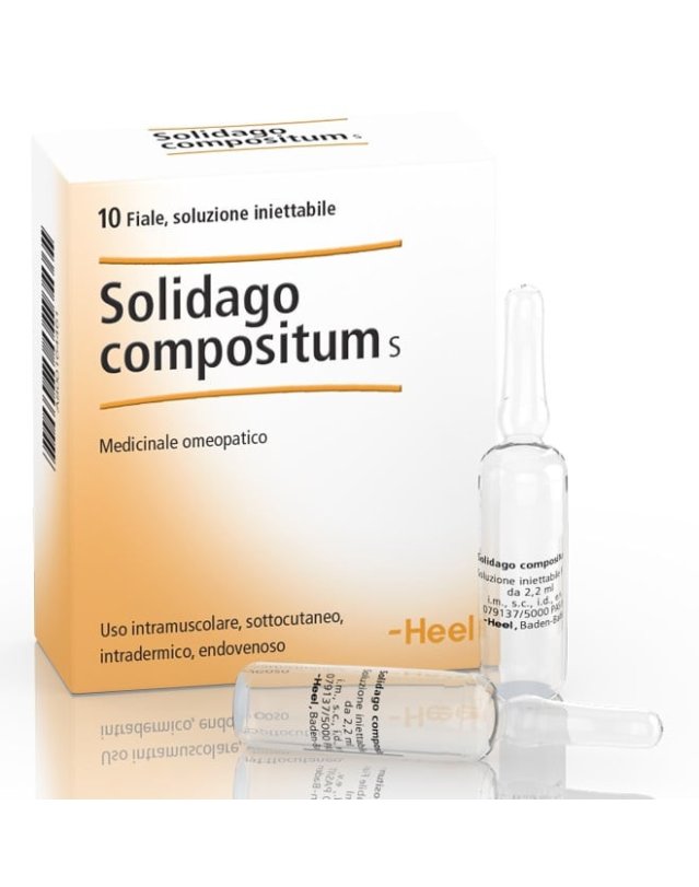 Heel Solidago Compositum Medicinale Omeopatico 10 Fiale da 2,2 ml