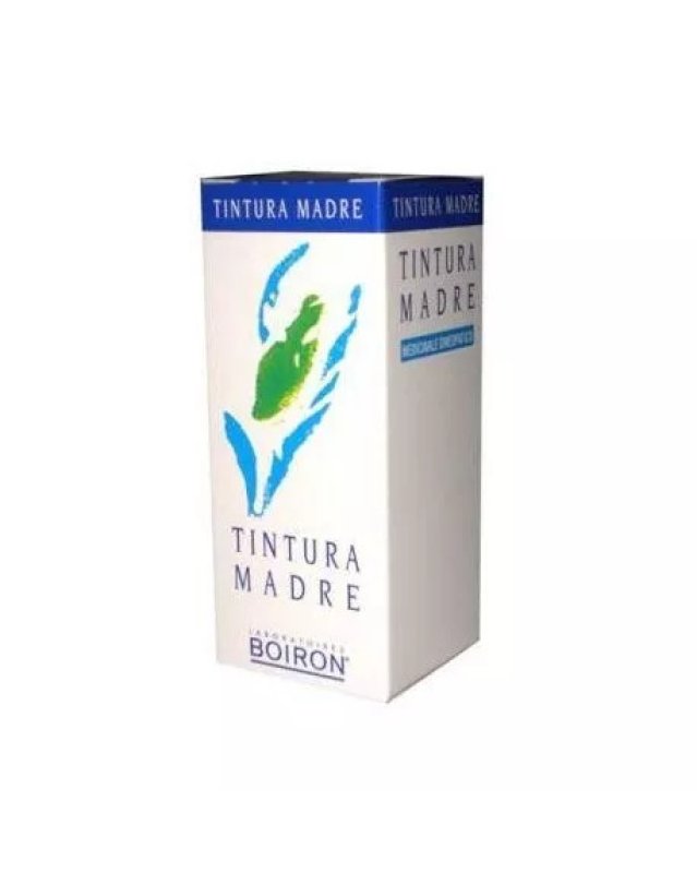 Betula Alba Tintura Madre Boiron 60 ml - Drenante e Depurativa Betula Alba Tintura Madre Boiron 60 ml - Drenante e Depurativa