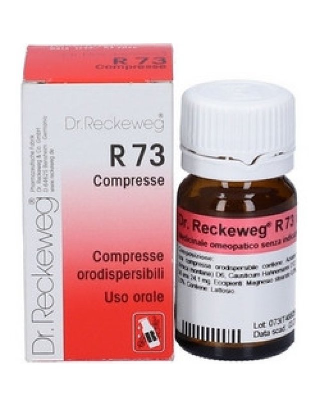 R73 Dr. Reckeweg 100 Cpr Omeopatico Articolazioni e Cartilagini R73 Dr. Reckeweg 100 Cpr Omeopatico Articolazioni e Cartilagini