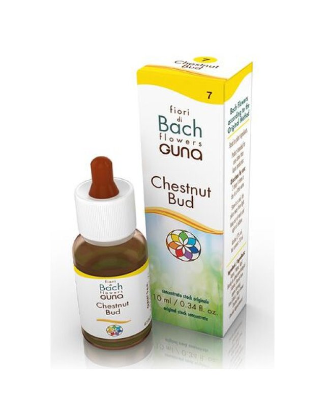 Chestnut Bud Gocce 10 ml – Apprendimento e Spontaneità Chestnut Bud Gocce 10 ml – Apprendimento e Spontaneità