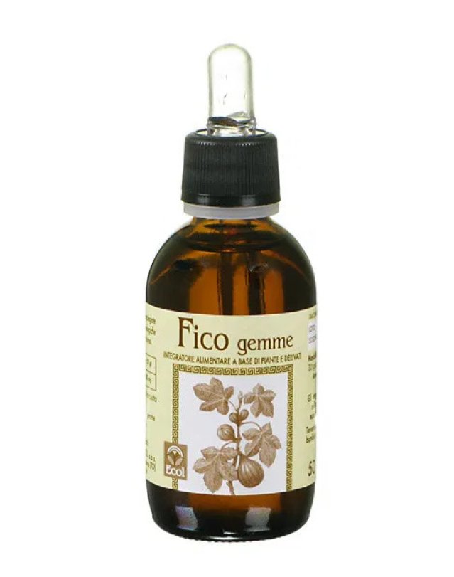 Fico Gemme Estratto Analcolico 50ml – Benessere Digestivo e Neurovegetativo Fico Gemme Estratto Analcolico 50ml – Benessere Digestivo e Neurovegetativo