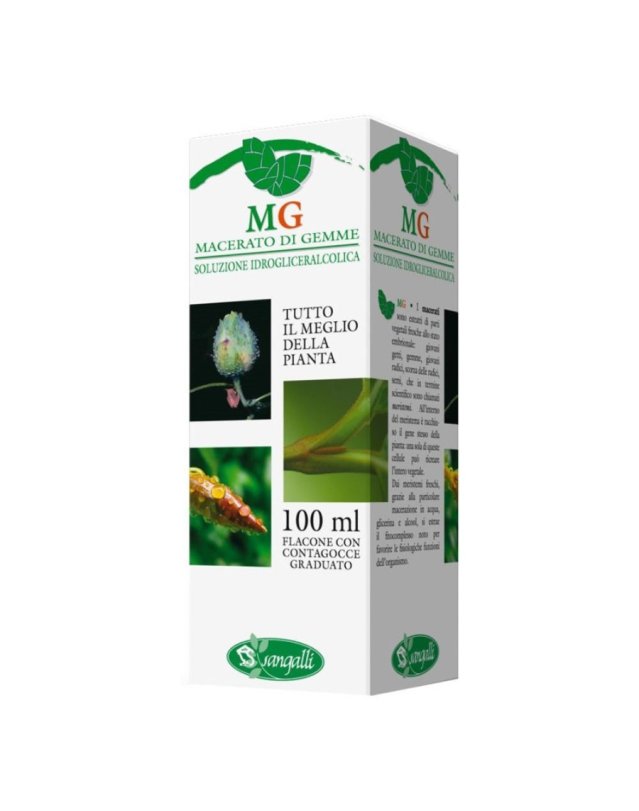 Sequoia Macerato di Gemme 100ml - Tonico Energetico