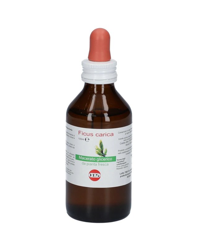 Ficus Carica Macerato Glicerico 100ml – Supporto Digestivo Ficus Carica Macerato Glicerico 100ml – Supporto Digestivo