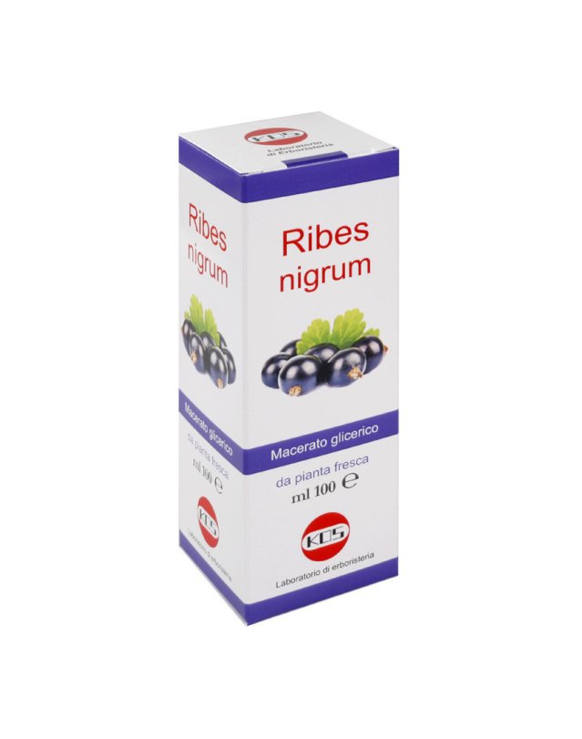Ribes Nigrum Macerato Glicerico 100ml - Benessere Naso e Gola