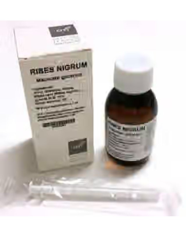 Ribes Nigrum Gocce 100ml - Antinfiammatorio e Allergie
