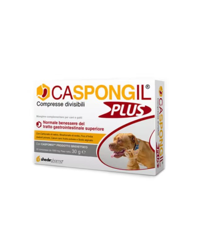Caspongil Plus 30 Compresse - Supporto Acidità e Benessere Gastrico Caspongil Plus 30 Compresse - Supporto Acidità e Benessere Gastrico