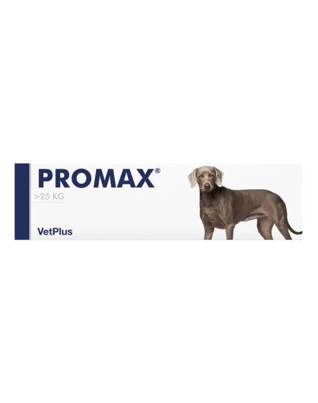 Promax Large Breed 30ml - Supporto Intestinale Cani Taglia Grande Promax Large Breed 30ml - Supporto Intestinale Cani Taglia Grande