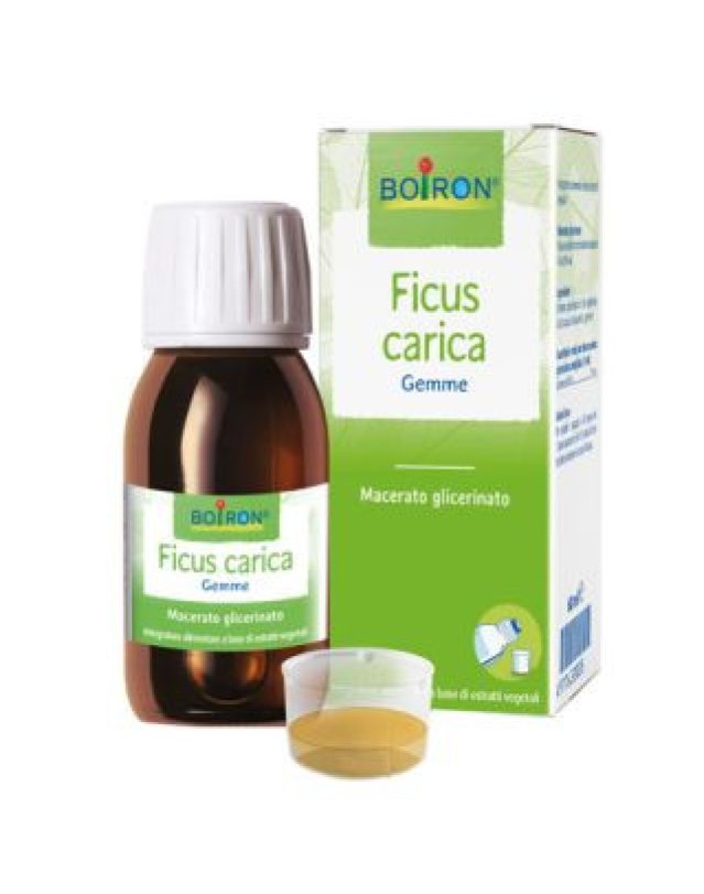 Ficus Carica Boiron 60ml - Benessere Gastrointestinale Ficus Carica Boiron 60ml - Benessere Gastrointestinale