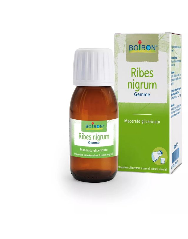 Ribes Nigrum Macerato Glicerinato 60ml &ndash; Antiallergico e Antinfiammatorio