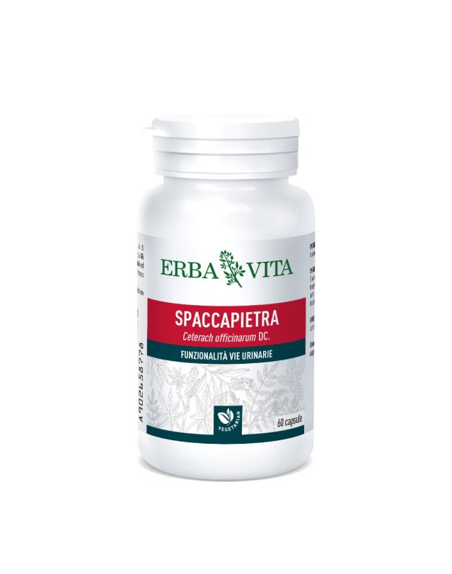 Spaccapietra 60 Capsule &ndash; Vie Urinarie e Drenaggio Naturale