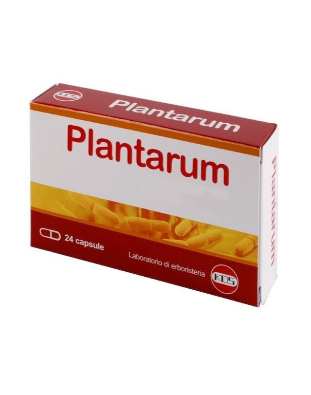 Plantarum 10 Miliardi 24 Capsule – Flora Intestinale e Benessere Digestivo Plantarum 10 Miliardi 24 Capsule – Flora Intestinale e Benessere Digestivo