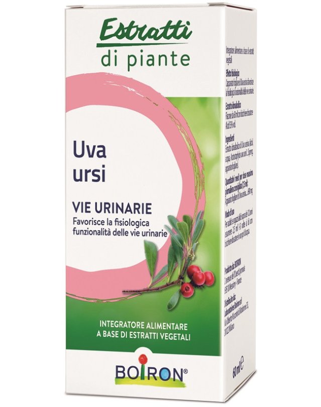 Uva Ursina 60 Capsule &ndash; Vie Urinarie e Drenaggio Naturale