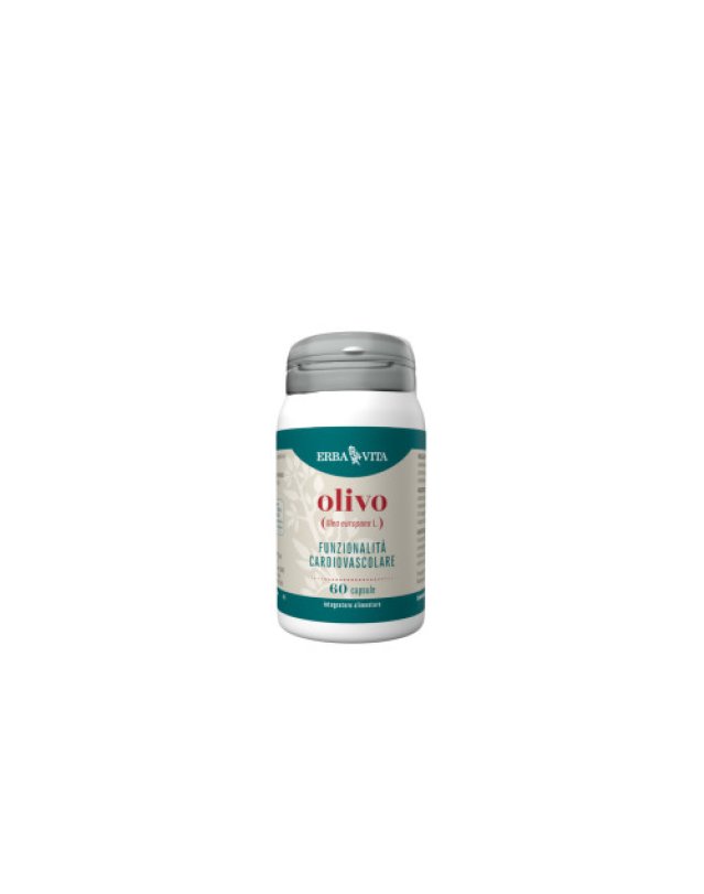 Olivo 60 Capsule – Pressione e Funzionalità Cardiovascolare Olivo 60 Capsule – Pressione e Funzionalità Cardiovascolare