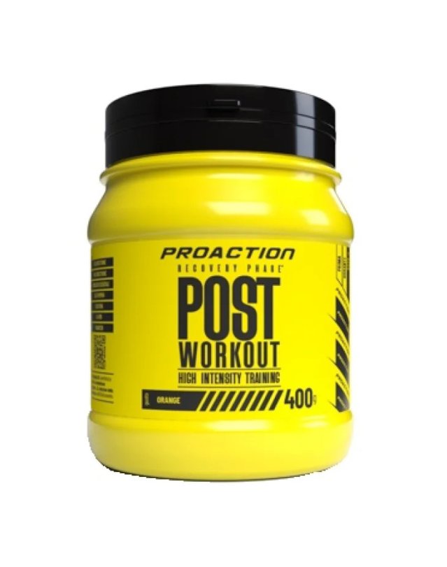 Post Workout Proaction Fit 400 g - Recupero Muscolare