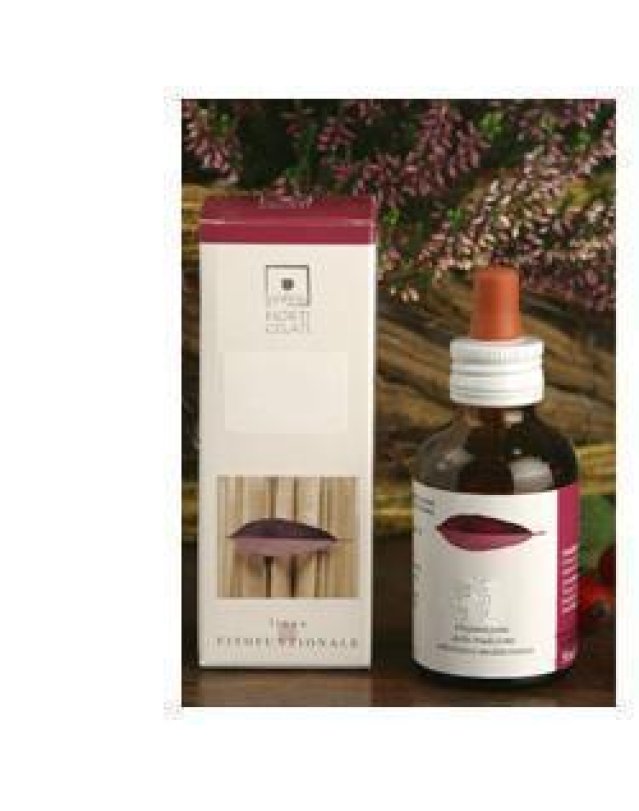 CORNUS SANGUINEA MG 50ML STV