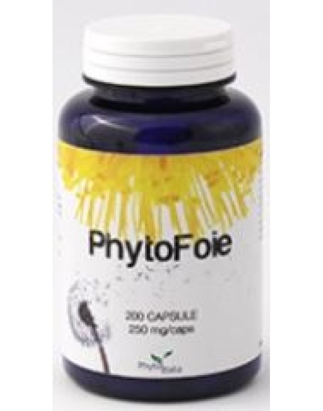 PHYTOFOIE 60CPS