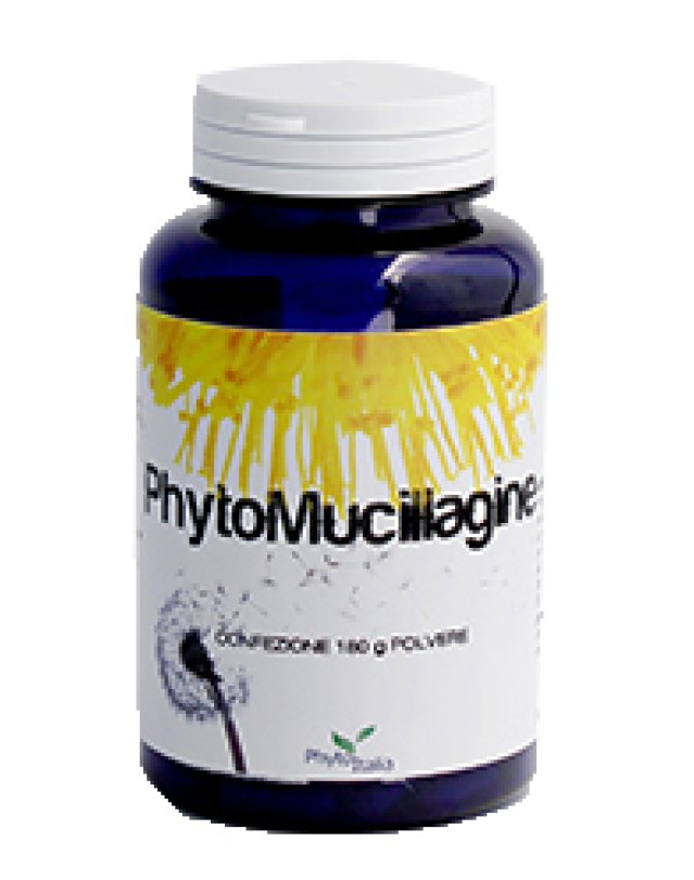 PHYTOMUCILLAGINE POLVERE 180G