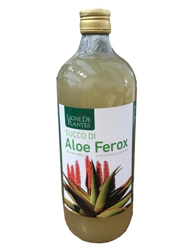 SUCCO ALOE FEROX BIO 1LT