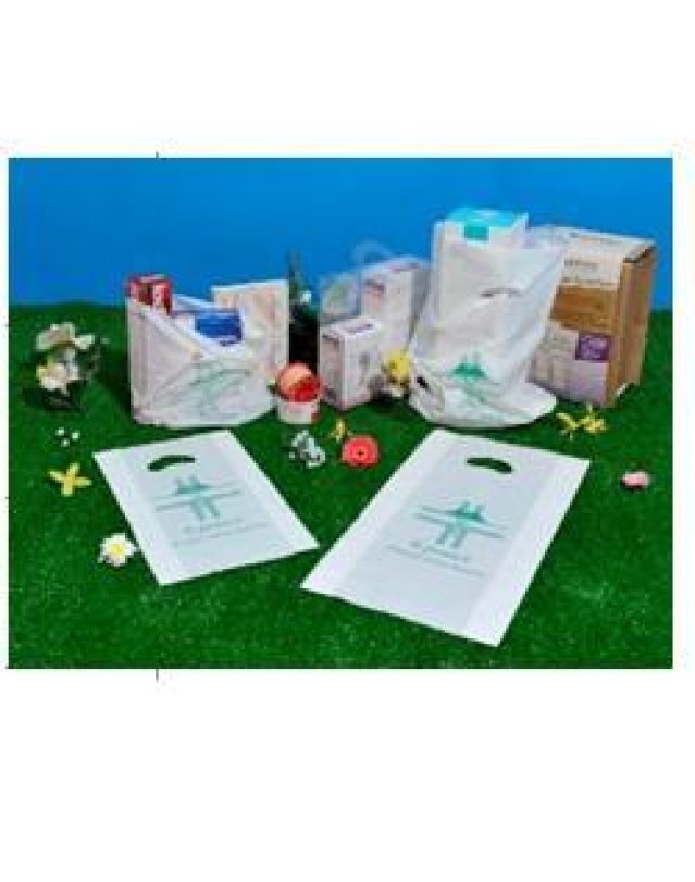 SHOPPER BIOD.17X33 1000PZ BASILI