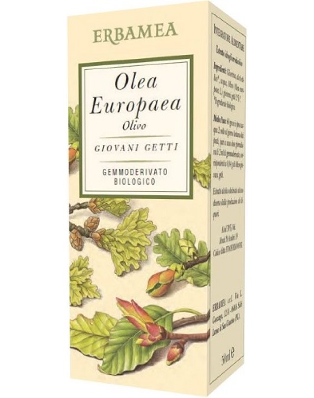 OLEA EUROPEA OLIVO 50ML