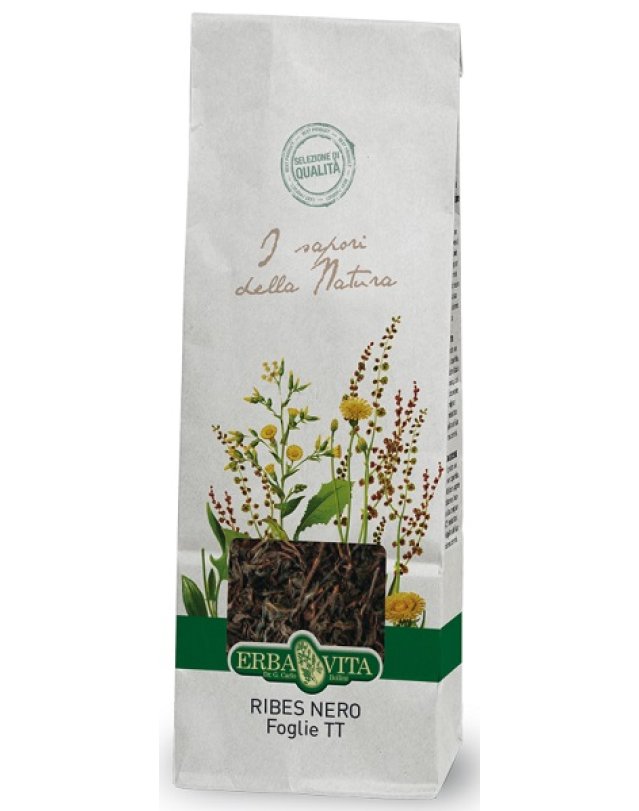 RIBES NERO FOGLIE 100G