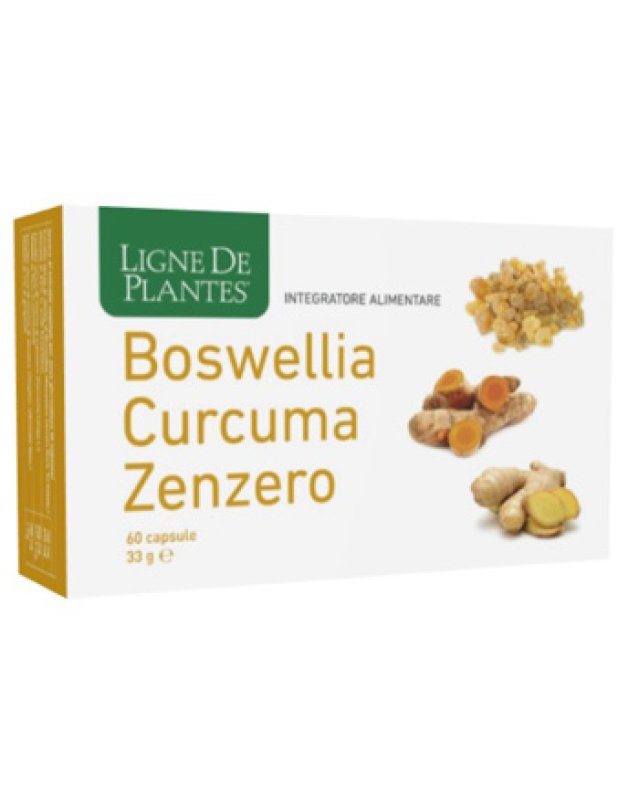 BOSWELLIA/CURC/ZENZ.60Cps NSE