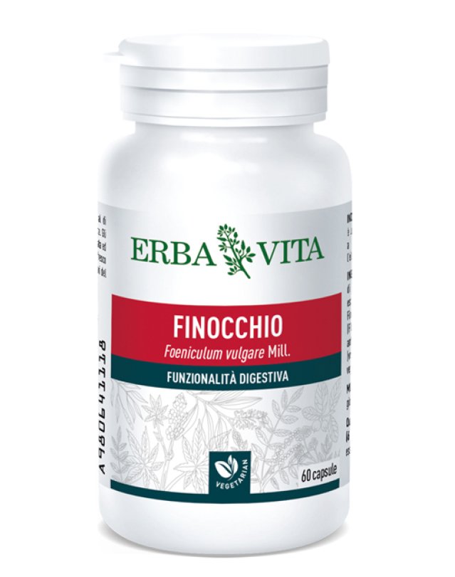 FINOCCHIO 60CPS EBV<