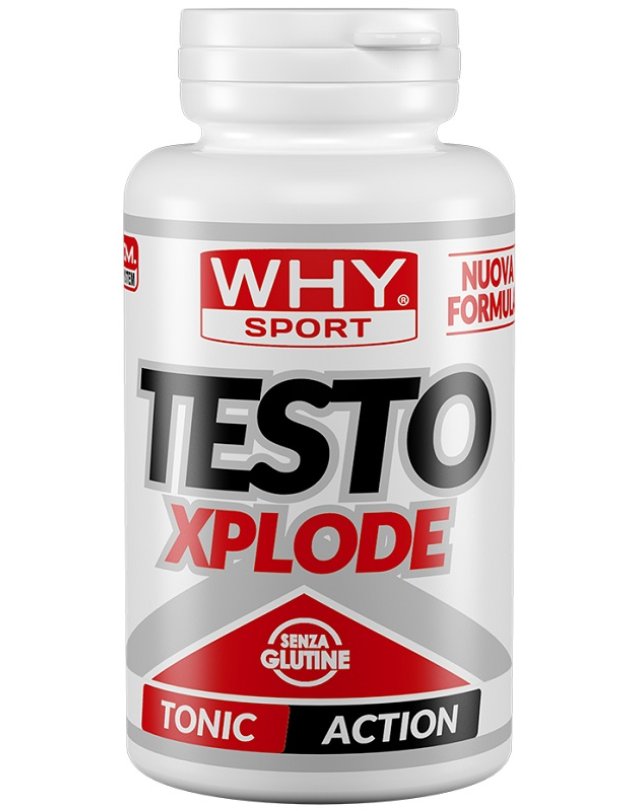 WHYSPORT TESTO XPLODE 90CPR NF