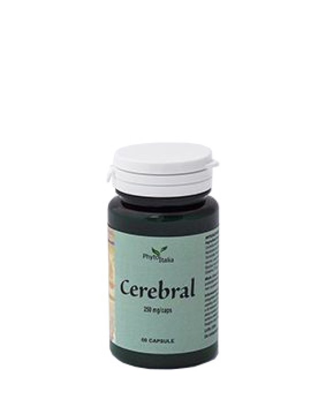 CEREBRAL AYURVED 60CPS