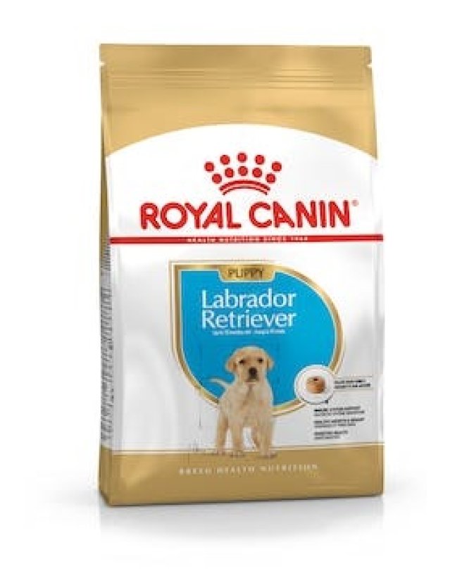 V BHN LABRADOR PUPPY 3KG V BHN LABRADOR PUPPY 3KG