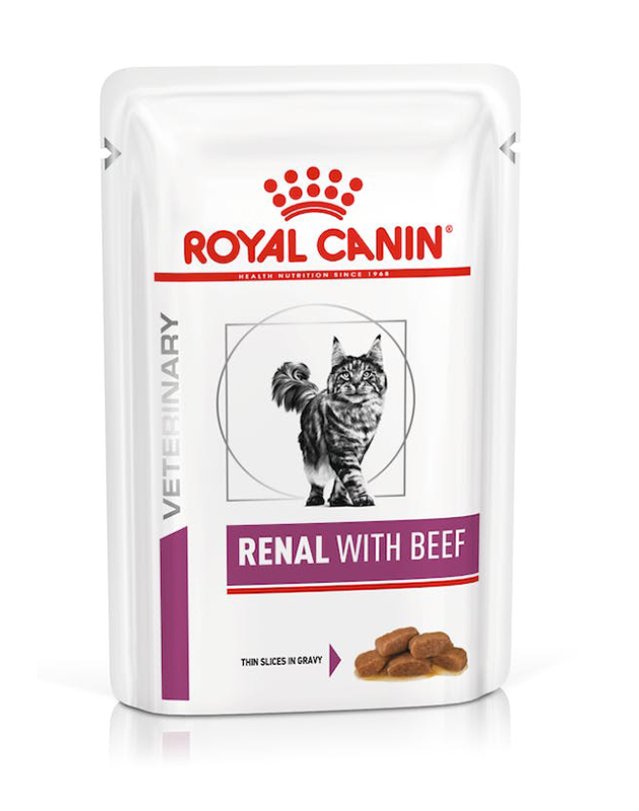 V RC CAT RENAL MANZO BST 12P V RC CAT RENAL MANZO BST 12P