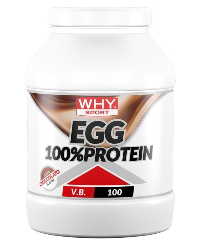 WHYSPORT EGG 100% PROTEIN CIOC