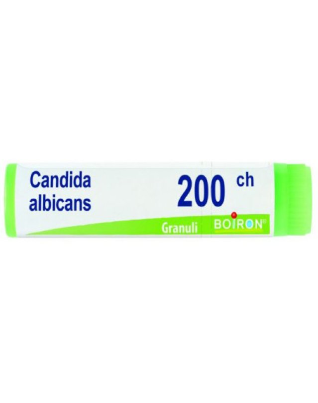 CANDIDA ALBICAN 200CH GL BO