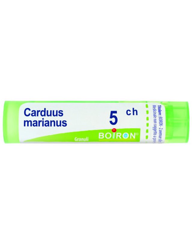 BO.CARDUUS MAR.Tubo  5CH