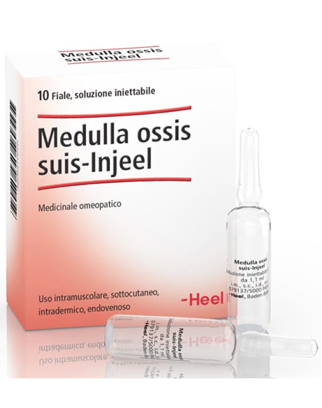 MEDULLA OSSIS SUIS INJEEL HEEL