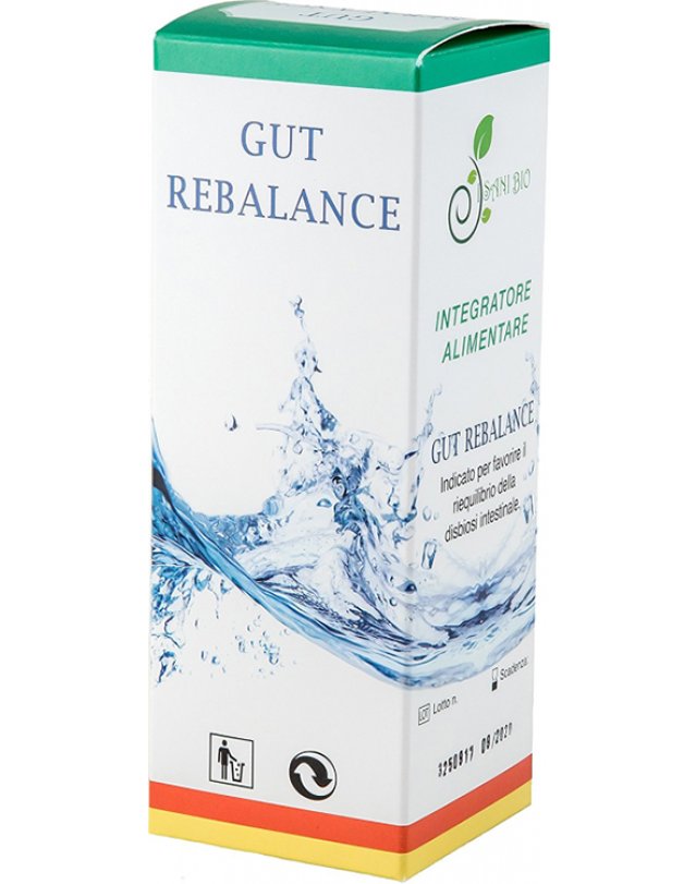 GUT REBALANCE 100ML