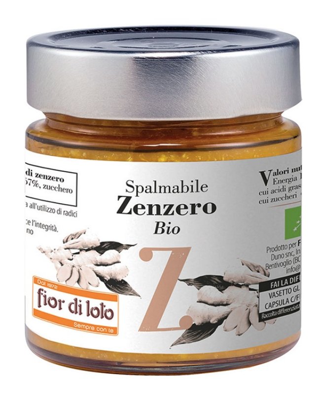 ZENZERO SPALMABILE 750G