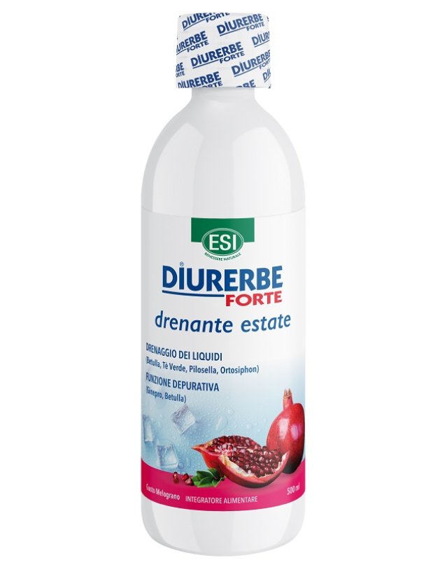 DIURERBE Fte Melogr.Bipacco DIURERBE Fte Melogr.Bipacco