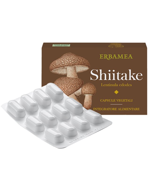 SHITAKE 24CPS VEGETALI ERBAMEA