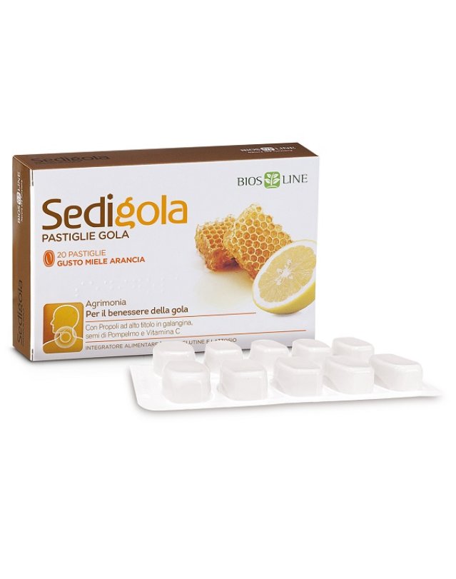 APIX SEDIGOLA MIELE ARA 20PAST