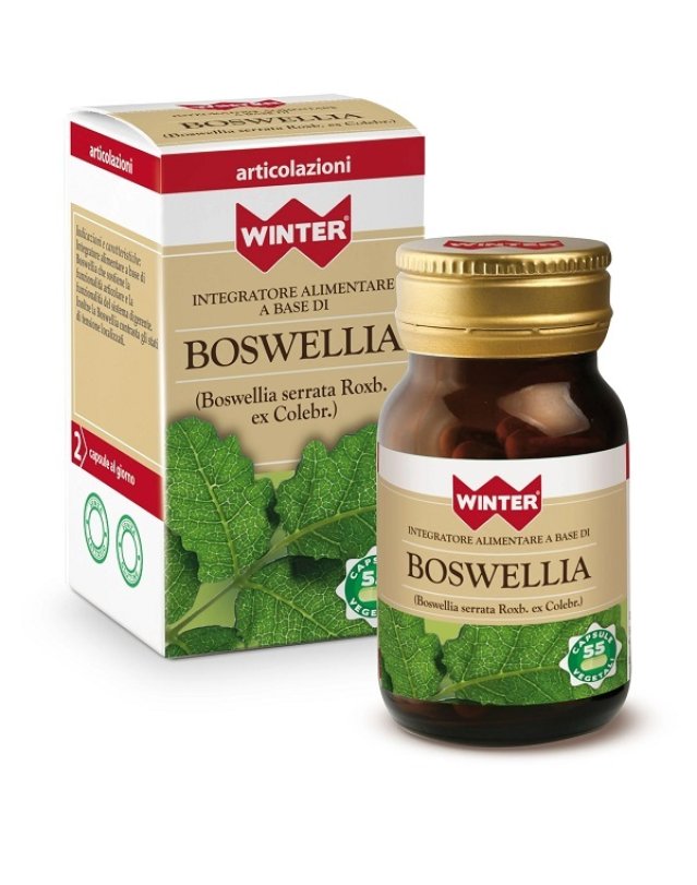 BOSWELLIA 55CPS VEG WINTER