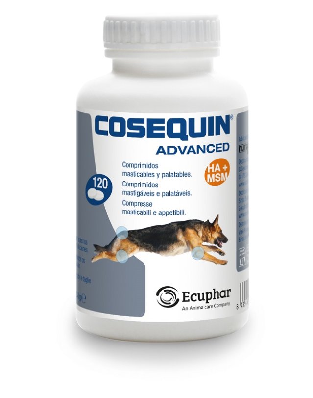 COSEQUIN Advanced Cane 120Cpr
