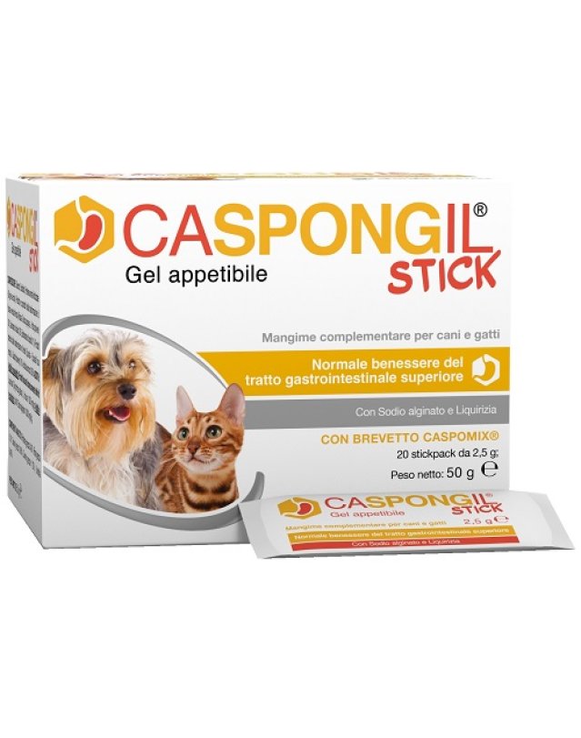 CASPONGIL STICK 20Stick Pack