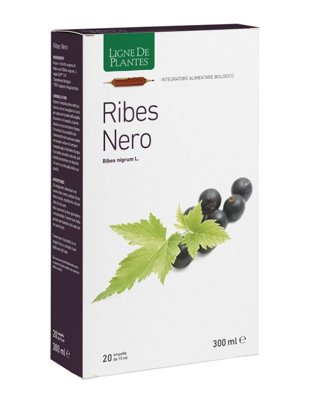 RIBES NERO BIO 20AB 15ML RIBES NERO BIO 20AB 15ML