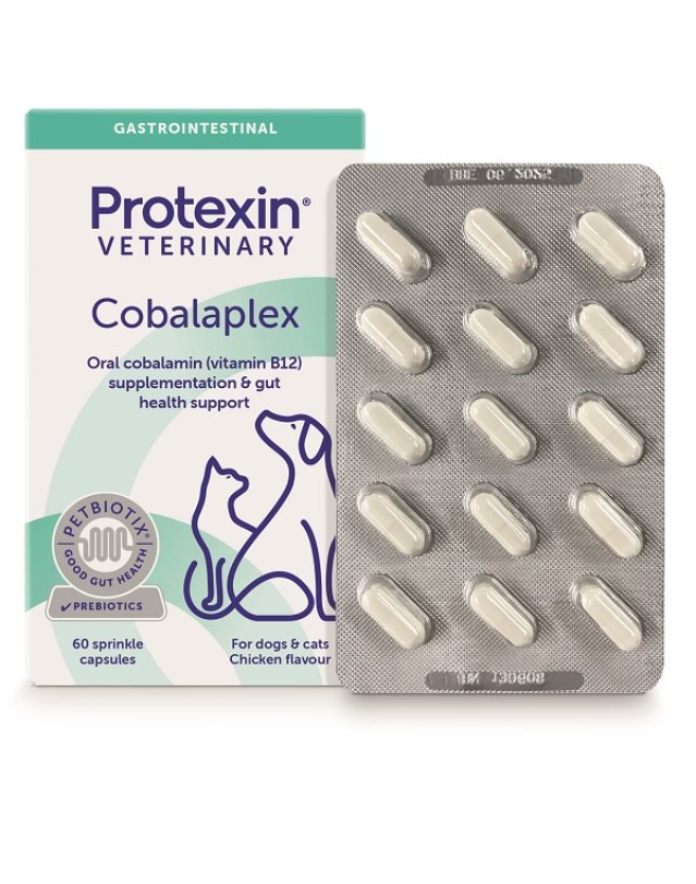 COBALAPLEX 60CPS COBALAPLEX 60CPS