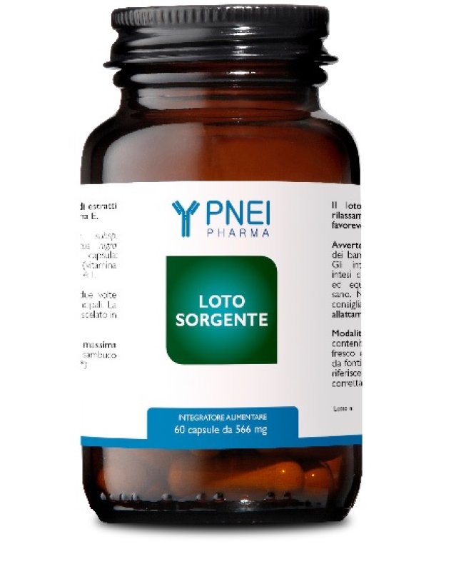 LOTO SORGENTE LOTO,SAMBUC,VIT E LOTO SORGENTE LOTO,SAMBUC,VIT E