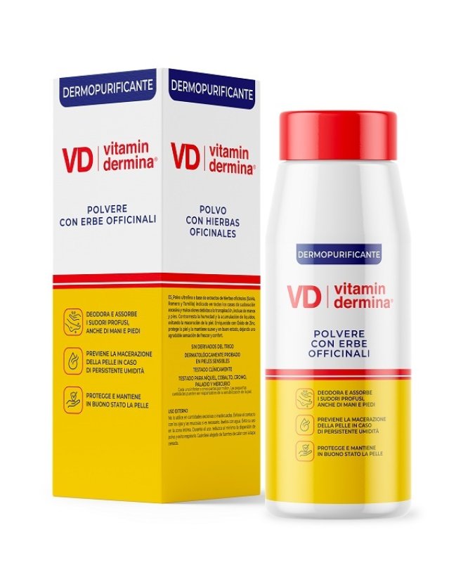 VITAMINDERMINA POLV ERBE OF 100G