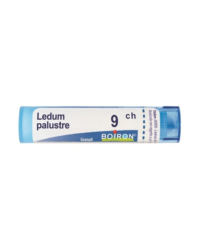 BO.LEDUM PALUSTRE Tubo 9CH BO.LEDUM PALUSTRE Tubo 9CH