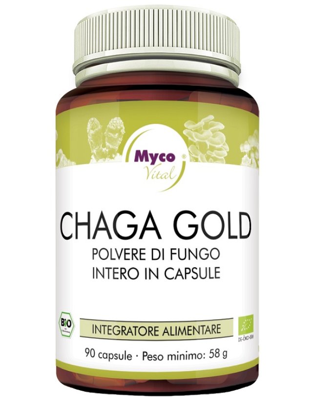 CHAGA GOLD 90CPS N/F HIFAS DA TE CHAGA GOLD 90CPS N/F HIFAS DA TE